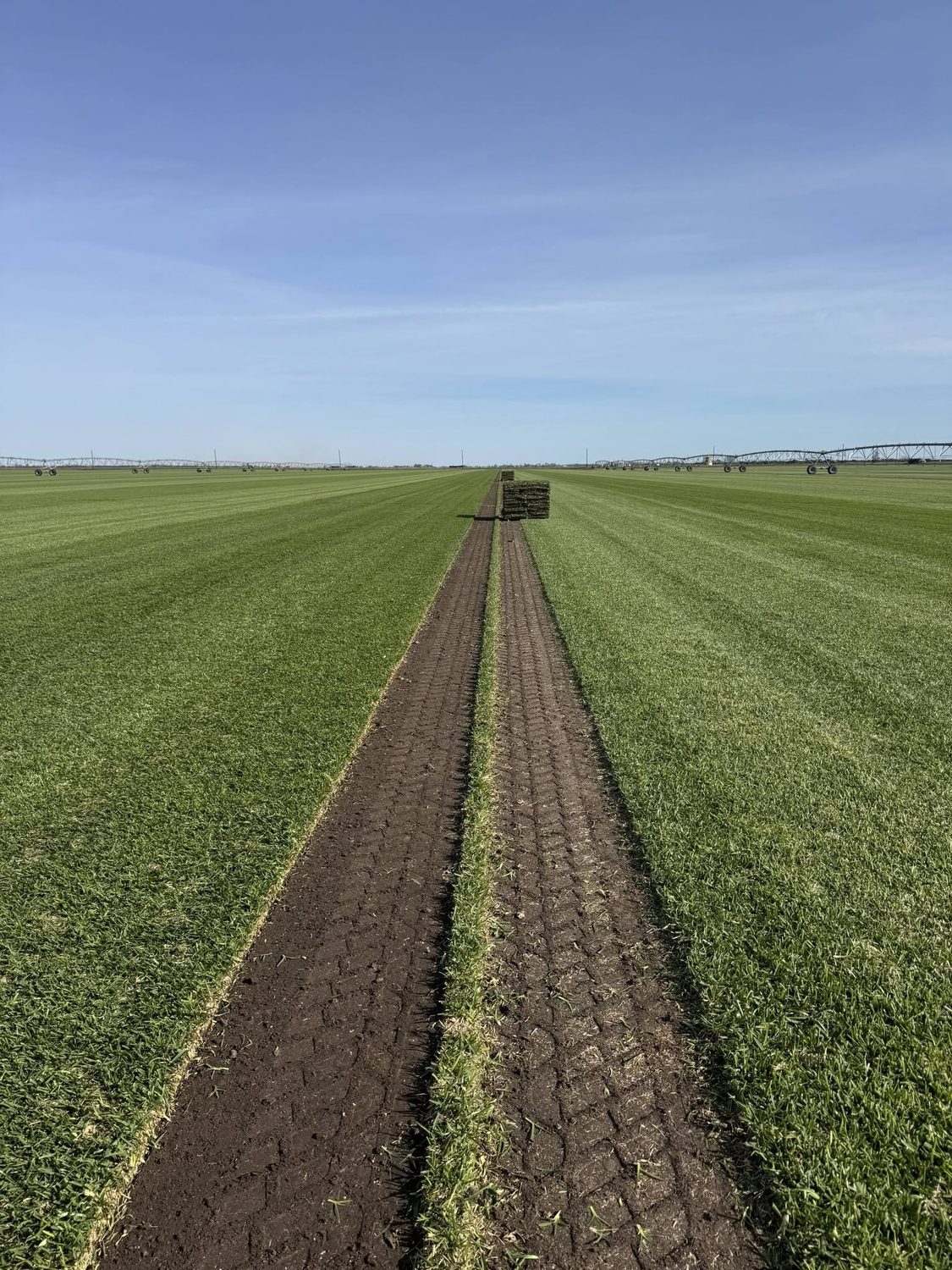 A sod field being harvested, ready for delivery by Garcia Grass